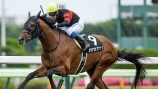 【中山金杯予想オッズ】ホウオウビスケッツが予想1番人気