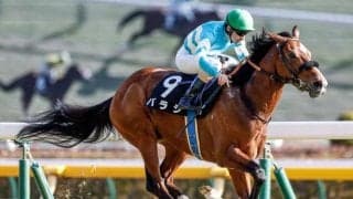 【中山金杯予想】AIは人気薄を抜擢 好枠を引き当てれば魅力的な一頭に