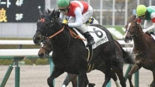 【中山金杯展望】JRA重賞戦線の幕開け、GI戦線で活躍する馬も輩出