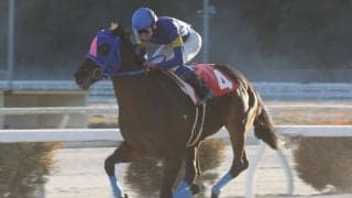 【高知・初夢特別】メイショウウズマサが初笑い…岡「馬が強かった」