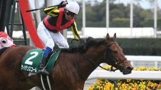 今年の1月は中京開催！ 枠順、脚質、血統の傾向は？