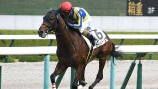 【京都金杯展望】波乱必至のハンデ戦は前走の負け方がカギ