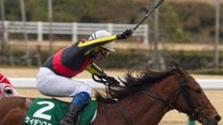 穴党なら狙いは西？ 京都金杯史上最高のお年玉は約120万円