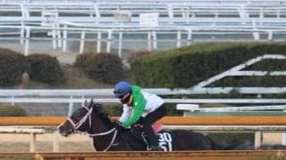 アーリントンロウ、シンザン記念1週前追い切り速報/栗東トレセンニュース