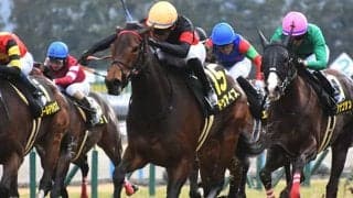 【京都金杯出走馬・騎手確定】ドゥアイズ＆武豊騎手、シャドウフューリー＆川田将雅騎手など16頭