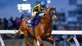 【川崎・川崎マイラーズ結果】ムエックスが5馬身差圧勝で重賞初制覇