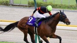 【中山金杯・調教後馬体重】ホウオウビスケッツは517kg、クリスマスパレードは464kg