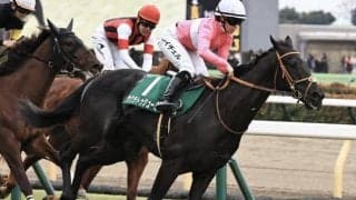 史上初の8歳馬Vなるか 昨年の東京新聞杯覇者が京都金杯に参戦