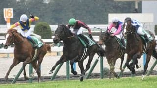 過去10年馬券圏内率0％!? 京都金杯の“末広がりの8”に隠されたジンクスとは