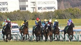 今年の京都金杯は中京芝1600m その傾向を探ってみた