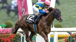 【京都金杯枠順確定】シャドウフューリーは5枠9番、ドゥアイズは8枠15番