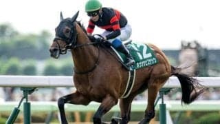 【中山金杯枠順確定】ホウオウビスケッツは8枠18番、クリスマスパレードは7枠15番