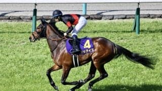 【京都金杯】ドゥアイズはプラス10kg…調教後の馬体重