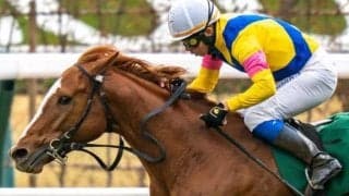 史上2頭目の京都金杯連覇なるか 今年は厩舎所属の2年目・柴田裕一郎騎手とタッグ