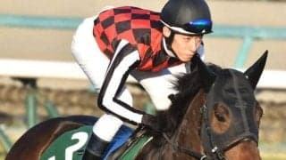 リカンカブールが史上3頭目の中山金杯連覇に挑戦 過去の2頭は？