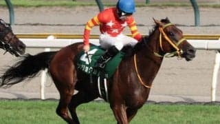 24年ぶりの牝馬Vなるか 中山金杯で2頭が牡馬撃破狙う