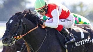 セレクト5.1億円馬が中山金杯にチャレンジ 史上最高額のJRA重賞勝ち馬となるか