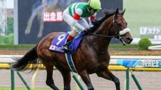 中山芝は内外フラット 中山金杯は舞台巧者のパラレルヴィジョンに注目