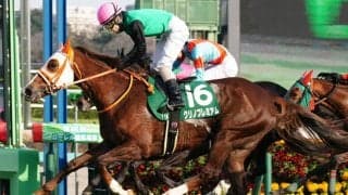 クリノプレミアムが引退…繁殖入り