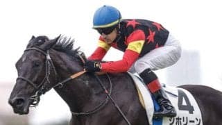 【フェアリーS想定馬・騎手】シホリーン、ニシノラヴァンダなど25頭