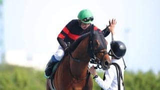 【中山金杯】天皇賞・秋3着馬ホウオウビスケッツは大外18番