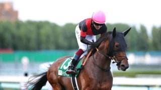 【京都金杯】武豊ドゥアイズは8枠15番