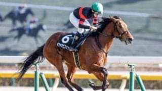 【今日の注目ポイント】中山で中山金杯と中京で京都金杯