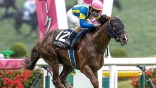 【京都金杯予想】今年は中京芝1600mでの開催 内枠先行馬が有利に