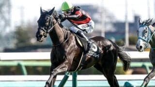 【中山金杯予想】新春到来を告げる名物重賞 例年とは異なるBコース使用がカギ