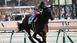 【中京5R新馬戦結果】ルーラーシップ産駒ジーティーアダマンが抜け出しV