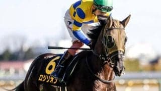 中京芝はコンディション良好 京都金杯は先行ベター