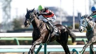 【中山金杯・馬体重】クリスマスパレードは460kg(-4)、ホウオウビスケッツは506kg(+4)