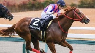 中山芝は内外フラット サンライズSはジャスパーノワールの逃げ切りだ