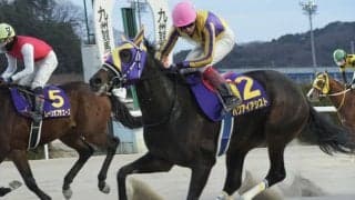 【佐賀若駒賞】ハクアイアシストが抜け出す…山口勲「1年通じて怪我ないように」