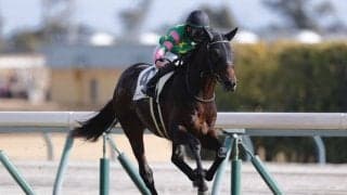 【新馬/中京5R】ルーラーシップ産駒 ジーティーアダマンが2馬身差V