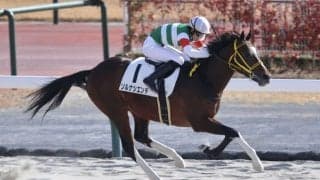 【新馬/中京4R】ソルナシエンテが3馬身差完勝