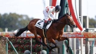 【中京7R】リアルスティール産駒 ミッキーゴールドがデビュー2連勝