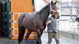 ニシノデイジーがけい養先の白馬牧場に到着 中山大障害2勝など平地・障害合わせ重賞4勝