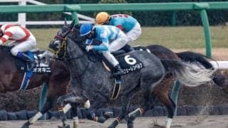 【中山新春JS結果】フェーレンベルクがオープン初勝利を挙げる