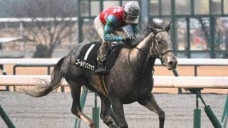 【万葉S結果】格上挑戦のゴールデンスナップが堂々押し切る