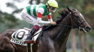 【シンザン記念】マイエレメント、アーリントンロウらが登録