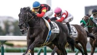 【フェアリーS】シホリーン、ニシノラヴァンダらが登録