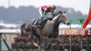 【万葉S】ゴールデンスナップが格上挑戦でオープン初勝利