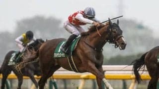 3日間開催にシンザン記念とフェアリーS/今週の競馬界の見どころ