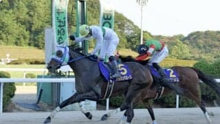 【園田・姫路競馬】兵庫の年度代表馬はアラジンバローズ