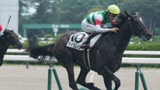 【シンザン記念登録馬】マイネルチケット、マイエレメントなど24頭