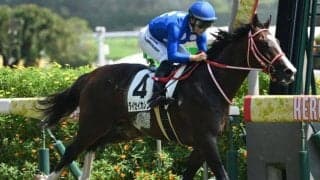 【シンザン記念見どころ】タイセイカレントが前走の鬱憤を晴らすか