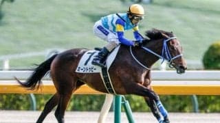 【フェアリーS見どころ】ミーントゥビーが重賞初制覇だ