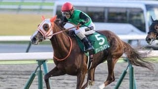 【先週のJRA抹消馬】22年中山牝馬S覇者クリノプレミアム、ダート短距離路線で活躍したヘリオスなど