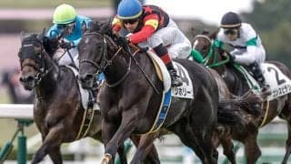 【フェアリーS想定騎手】シホリーンは横山武史騎手、エリカエクスプレスは戸崎圭太騎手